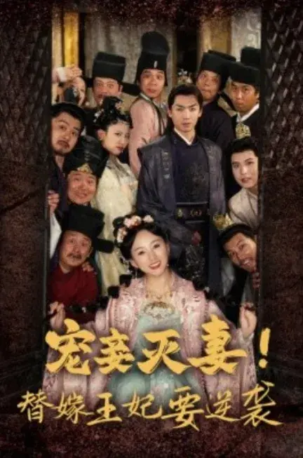 宠妾灭妻！替嫁王妃要逆袭0