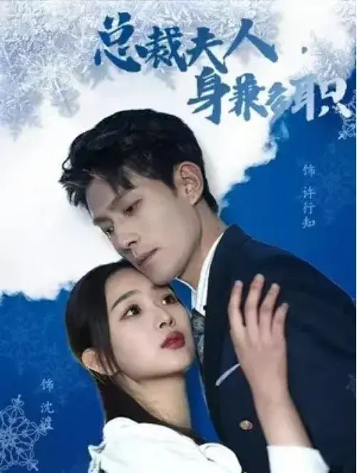 总裁夫人，身兼多职0