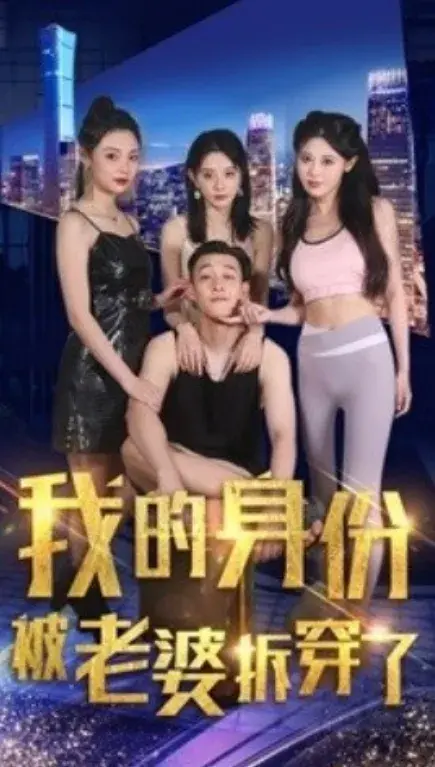 我的身份被老婆拆穿了0