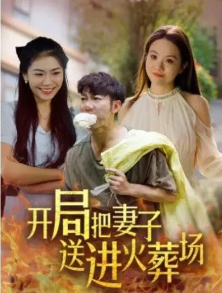 开局把妻子送进火葬场&再世重燃0