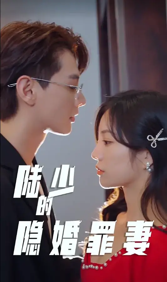 陆少的隐婚罪妻0