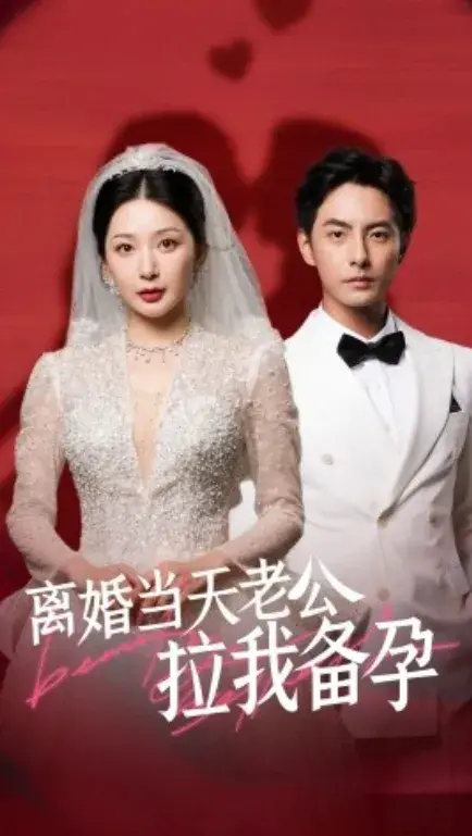 离婚当天老公拉我备孕0