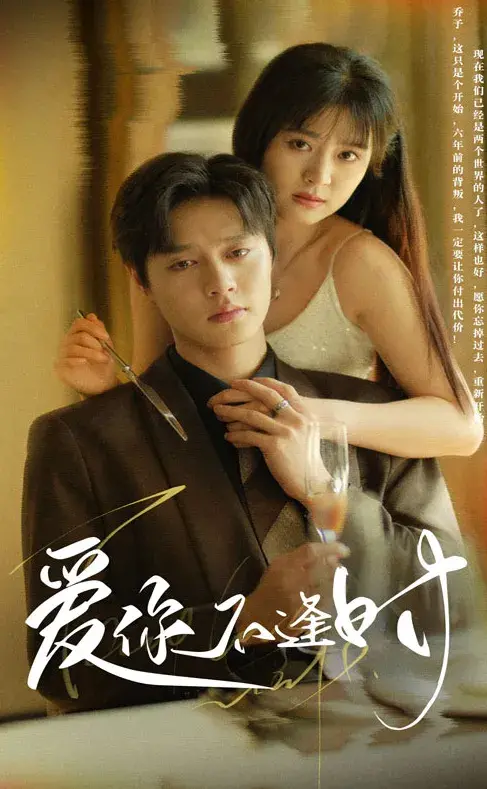 爱你不逢时0