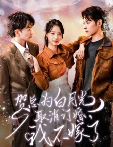 贺总为白月光取消订婚，我不嫁了0