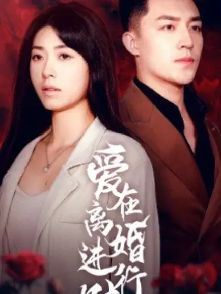 爱在离婚进行时0