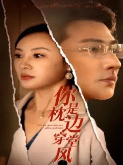 你是枕边穿堂风0
