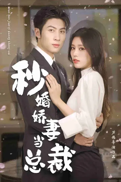 秒婚娇妻当总裁0