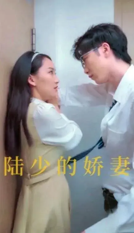 陆少的娇妻0