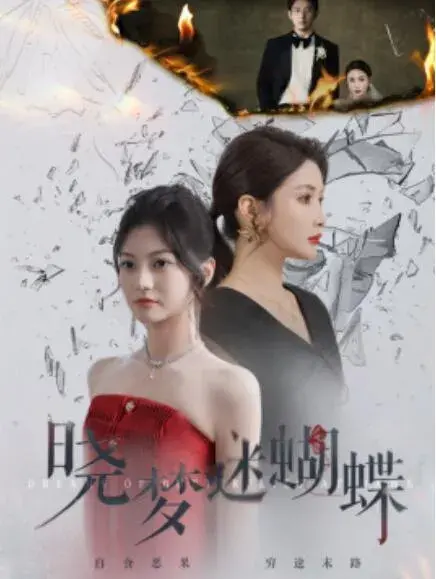 晓梦迷蝴蝶0