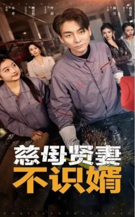 慈母贤妻不识婿0