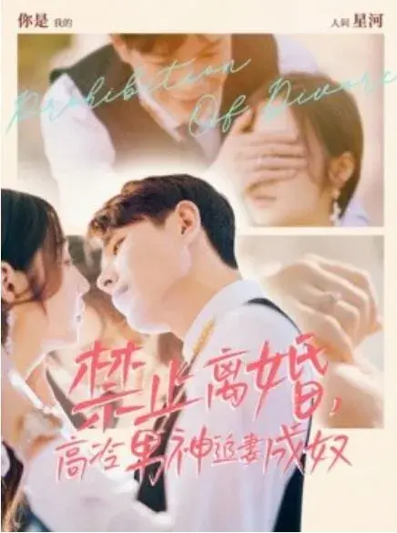 禁止离婚，高冷男神追妻成奴0