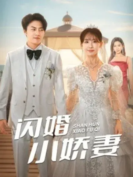 闪婚小娇妻0