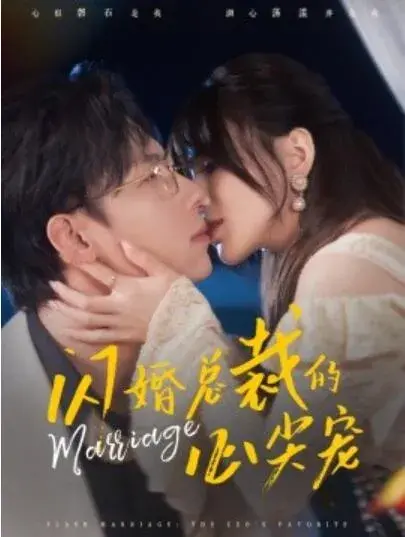 闪婚总裁的心尖宠0