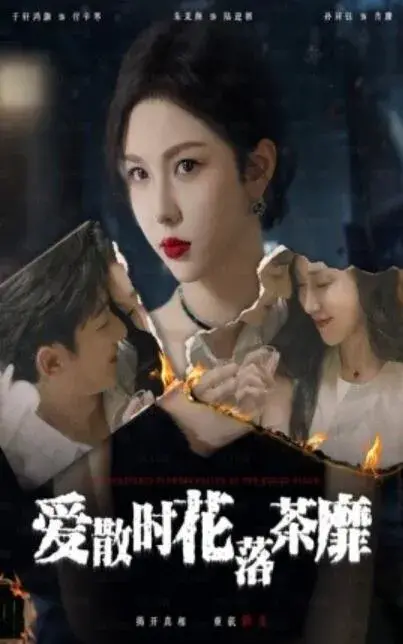 爱散时花落茶靡0