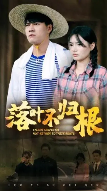 落叶不归根0