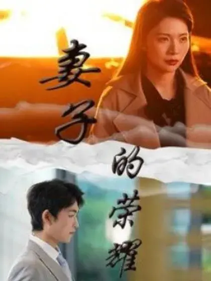 妻子的荣耀0