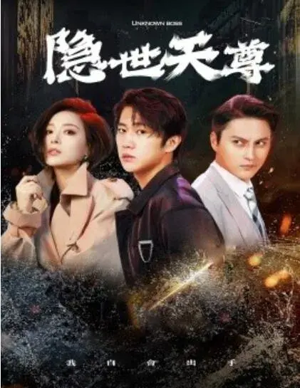 隐世天尊0