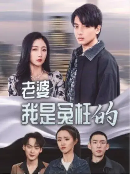 老婆我是冤枉的0