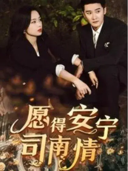 愿得安宁司南情0