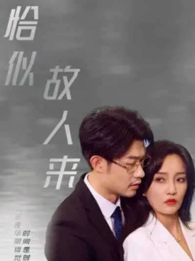 恰似故人来0