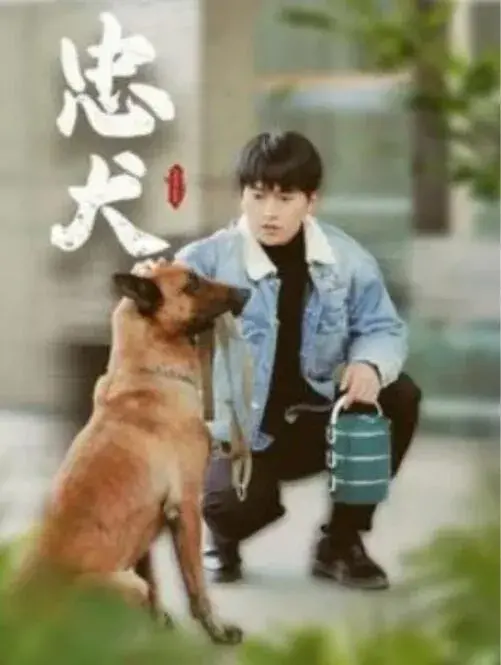 忠犬0
