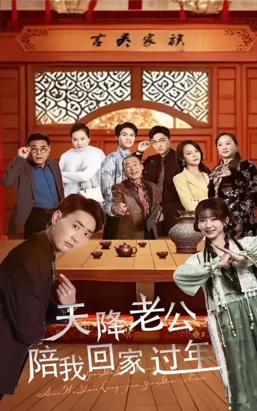 天降老公陪我回家过年0