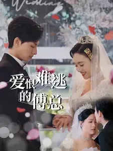 爱恨难逃的傅总0