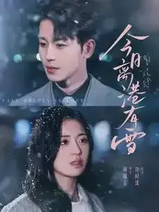 今日离港有雪0