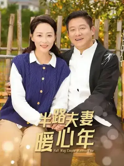 半路夫妻暖心年0