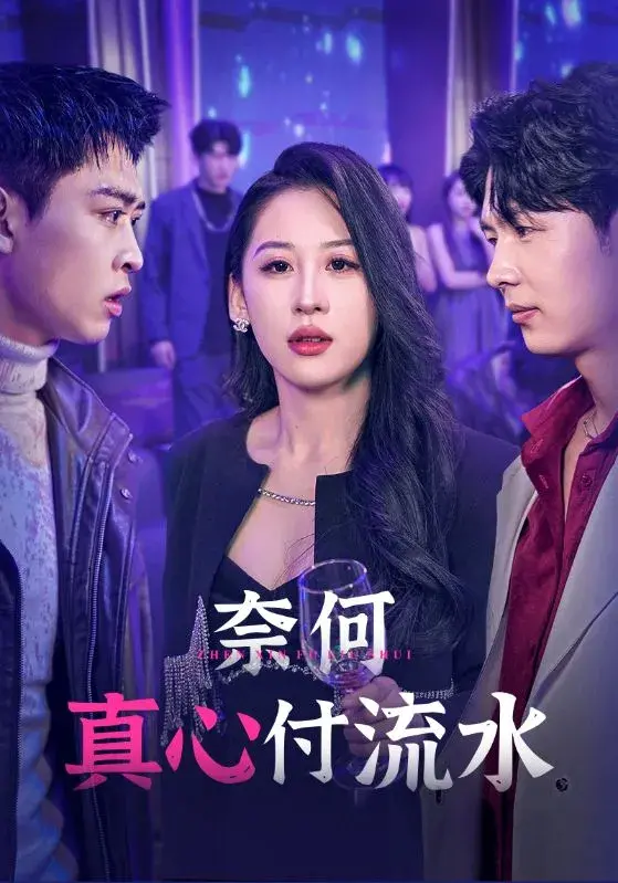 奈何真心付流水0