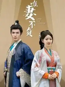 唯妻不负0