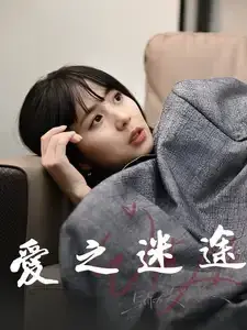 爱之迷途0