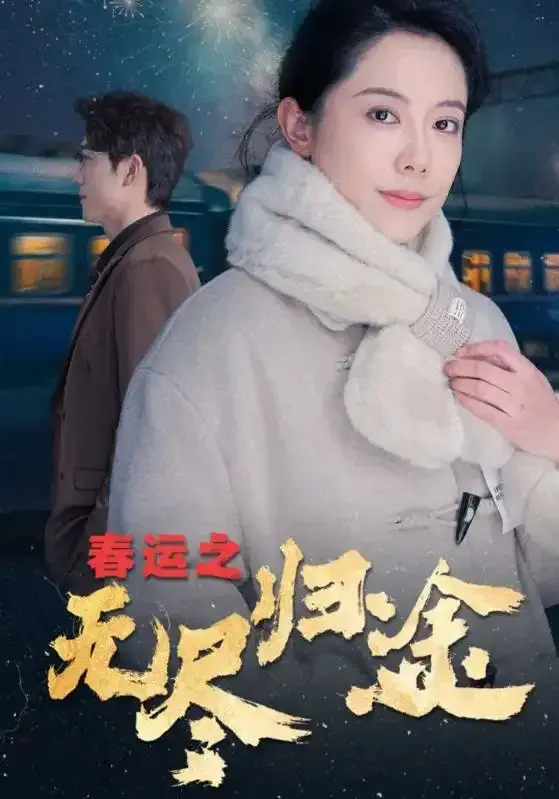 春运之无尽归途0
