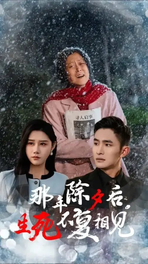那年除夕后生死不复相见0
