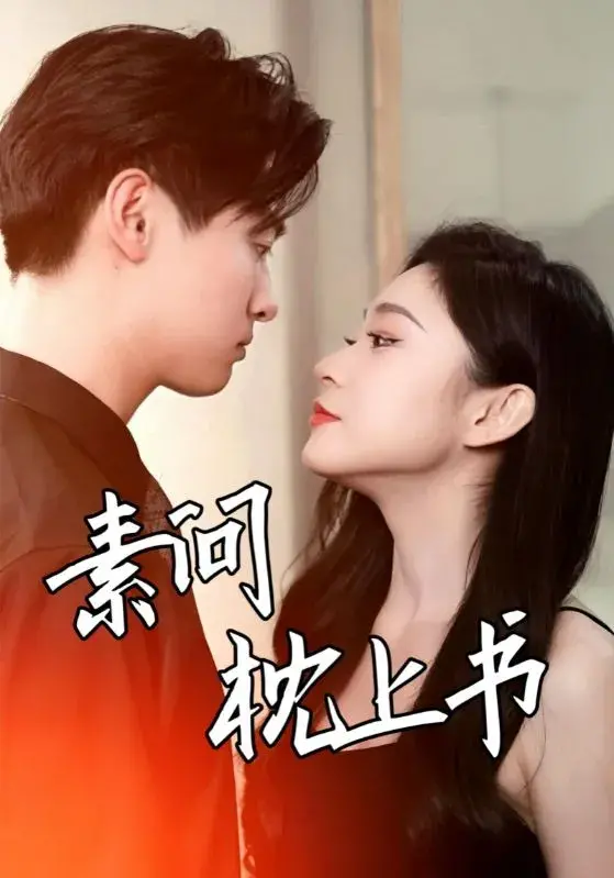 素问枕上书0