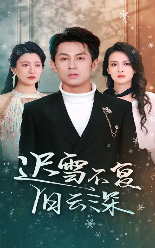 迟雪不复旧云深0