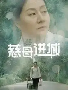 慈母进城0