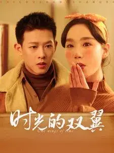 时光的双翼0