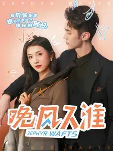 晚风入淮0
