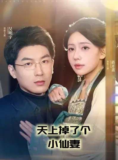 天上掉了个小仙妻0