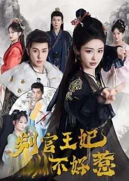 重生复仇之王妃她不好惹0