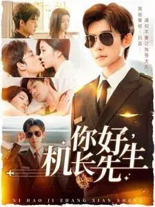 你好机长先生0