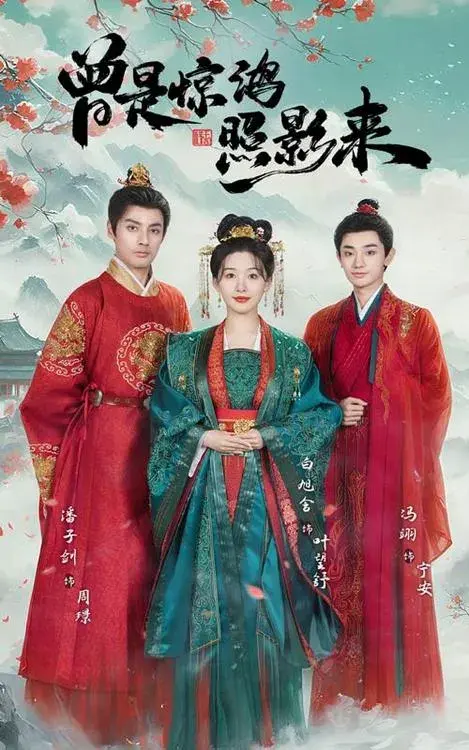 曾是惊鸿照影来0