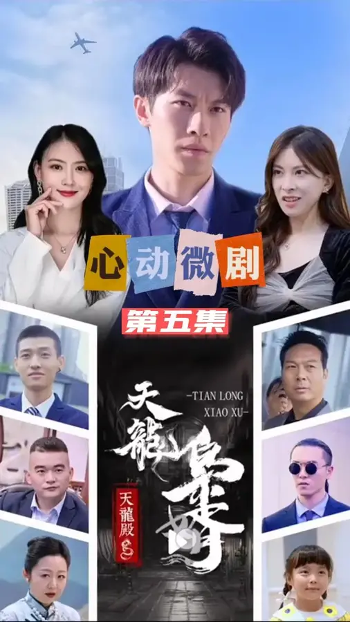天龙枭婿0