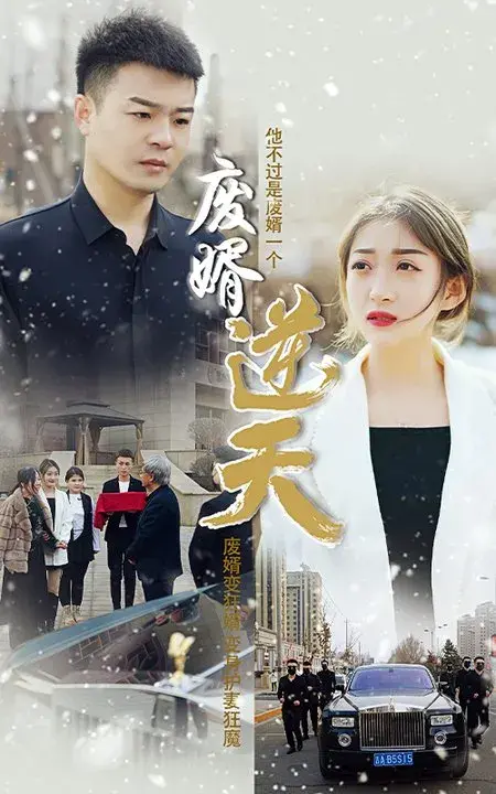 废婿逆天0