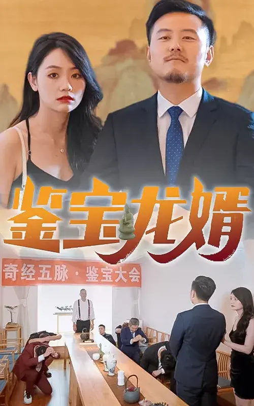 鉴宝龙婿0