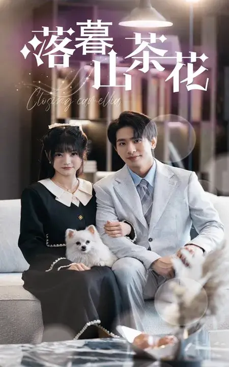落幕山茶花0