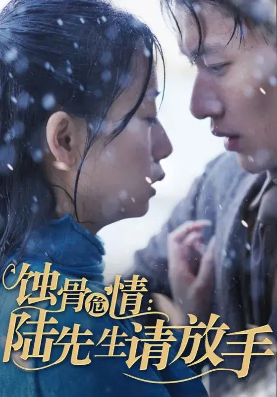 蚀骨危情：陆先生请放手0