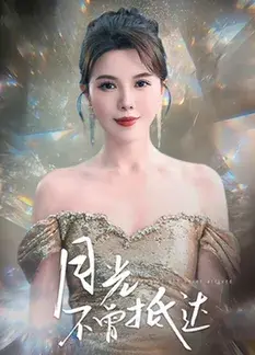月光不曾抵达0