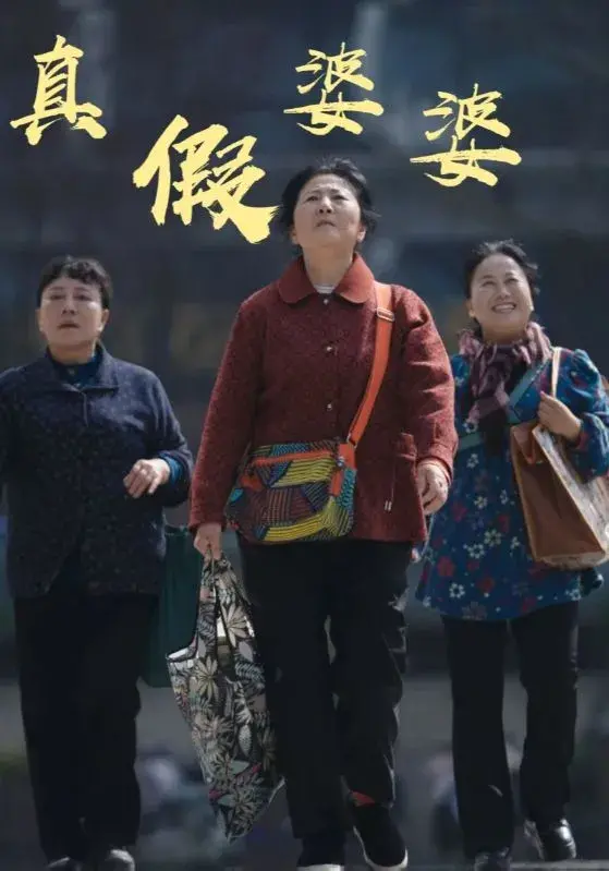 真假婆婆0